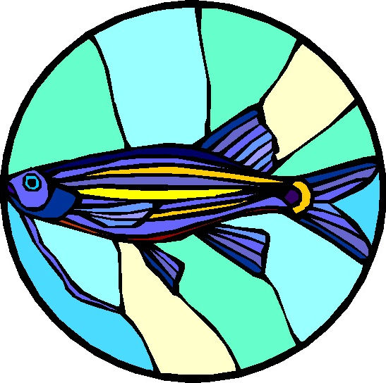 stained glass clipart - photo #48