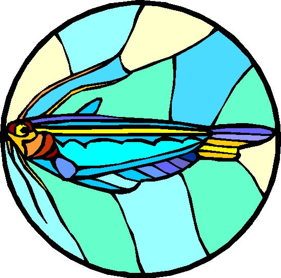 stained glass clipart free - photo #40